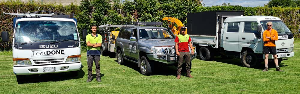 Shawn Moriarty-Rae, owner-operator of Trees DONE