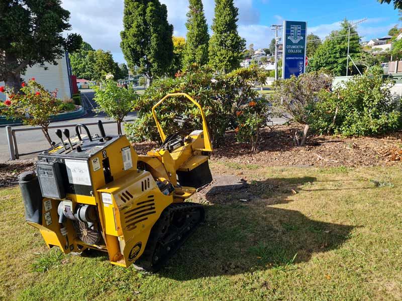 Stump Grinding